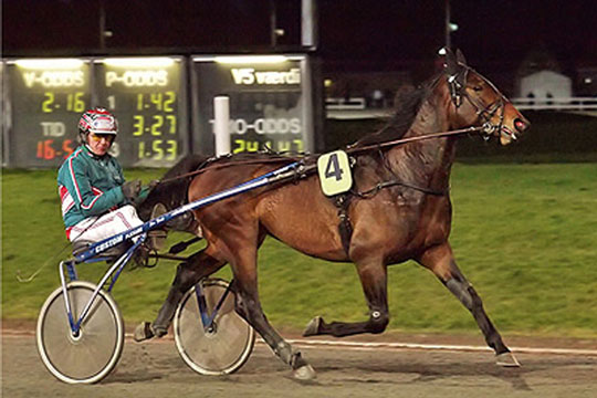 Ny travhest handlet til Bornholm