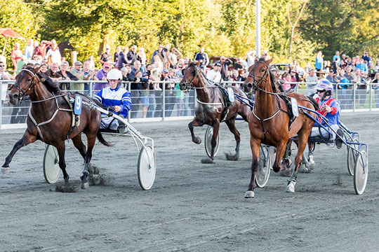 Fartfest p� Bornholms Brand Park