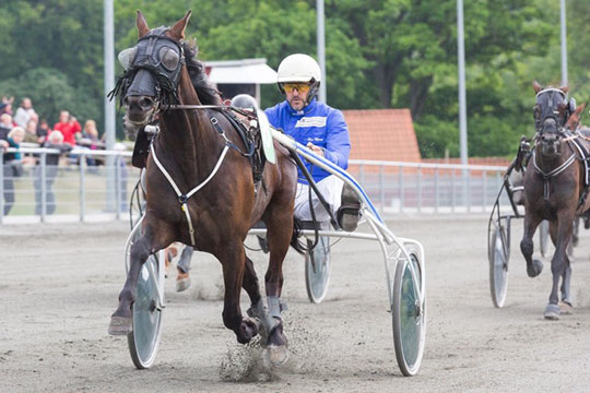 �rets st�rste V5-favorit p� Bornholms travbane