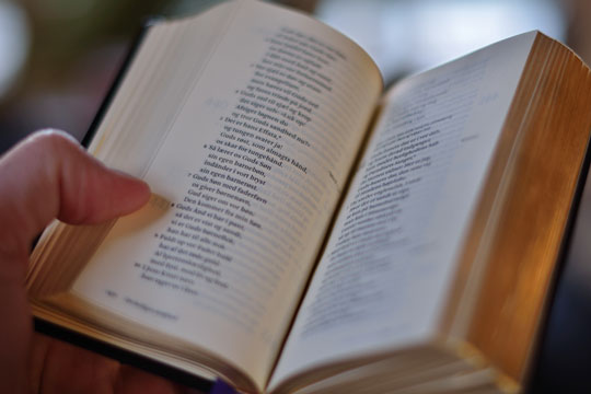 Slidte salmeb�ger i Nex�