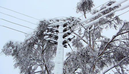 Milj�rigtig str�m til Bornholm