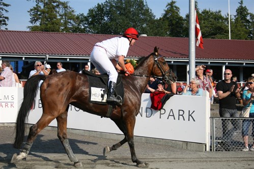 DM-st�vne p� Bornholm i h�rd TV-kollision