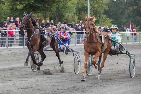 Storfavoritten Jetset Onion vandt til slut