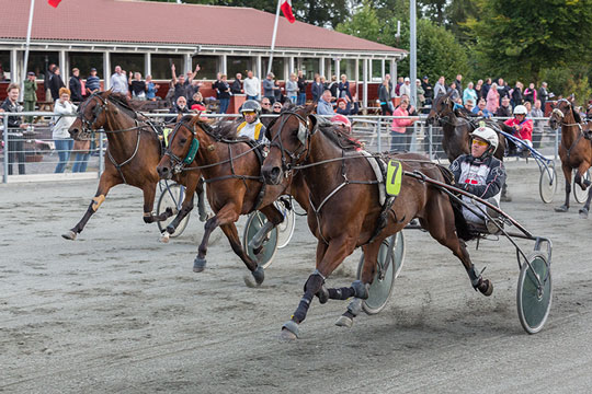 Lokal i spidsen om tr�nerchampionat