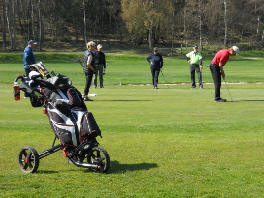 Parmesterskaber i golf