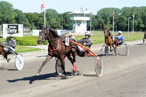 Storstald s�lger travhest til Bornholm