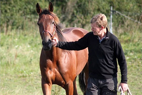 Tandl�ge k�bte dyreste hest p� svensk auktion