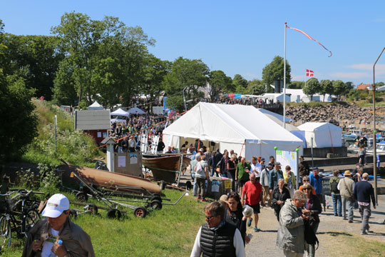 Folkem�dets festivalleder stopper