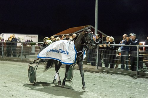 Derfor skifter elitehest kusk i morgen