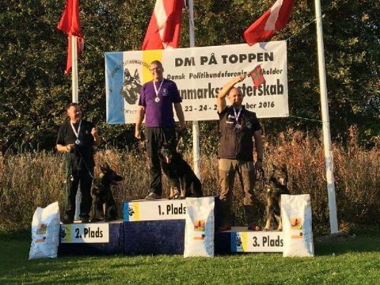 Landets tredjebedste politihund