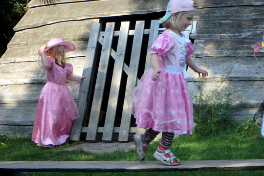 Vellykket cirkus i Lillemyr