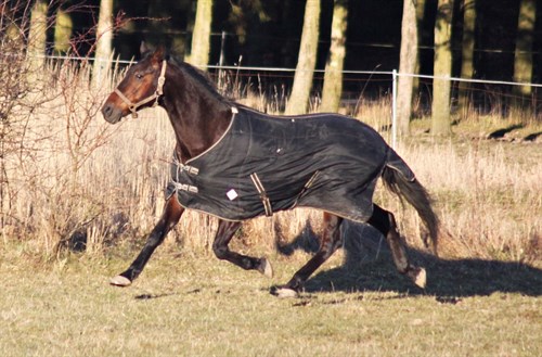 Derbyfinalist forlader Bornholm efter s�sonen