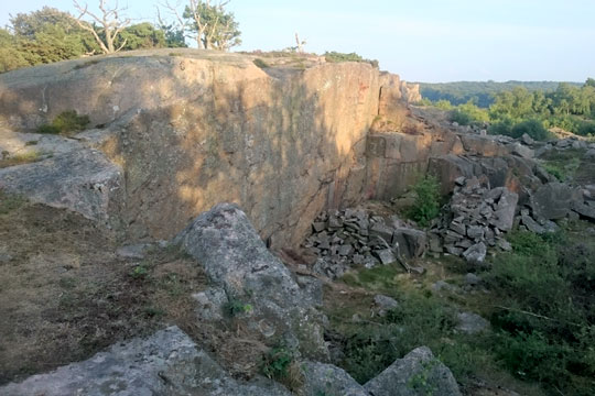 Naturforening mangler unge