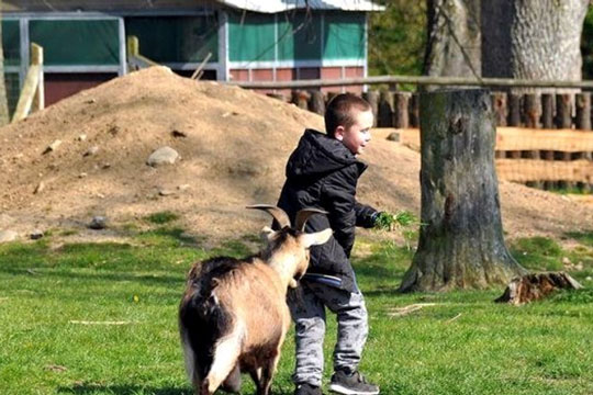 HK bag aftentur i Br�ndesg�rdshaven