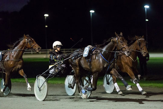 Dramatisk BM-revanche p� travbanen