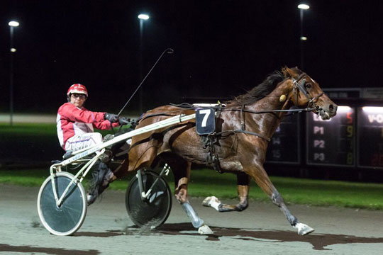 Udelukkelse til champion og jackpot