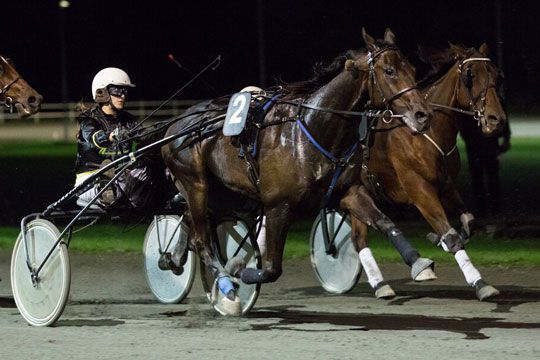 Nu k�ber Kenn Str�by Shadow Tingh�j