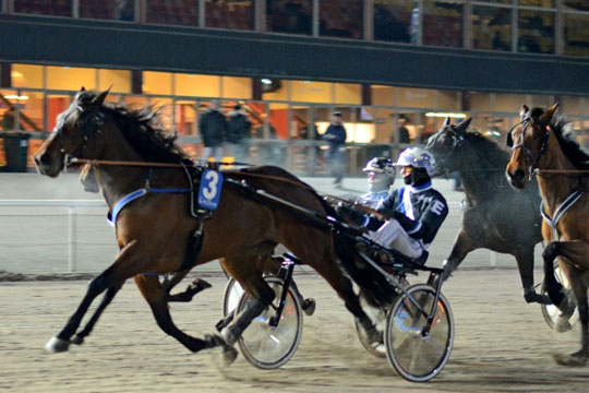 Tandl�gens hest til start p� stordag p� l�rdag