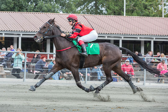 DM-st�vne flytter fra Bornholm