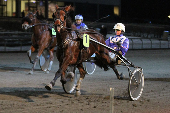 Bornholmere i spil til nomineringer