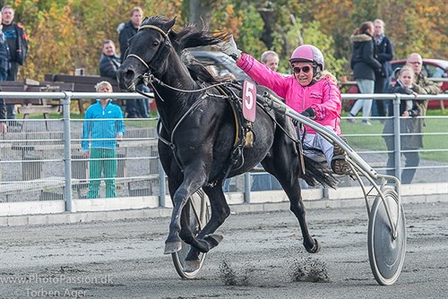 Sejrshoppe skal genbed�kkes efter f�rste f�l