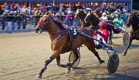 Spil p� travl�b bliver liberaliseret