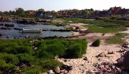 Skal bruge 350.000 kr. til fotoudstilling