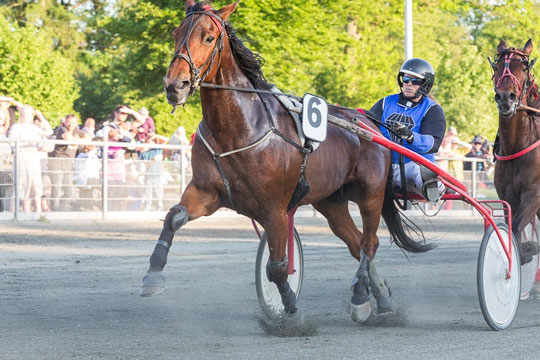 Bornholmsk jernlady forlader jorden