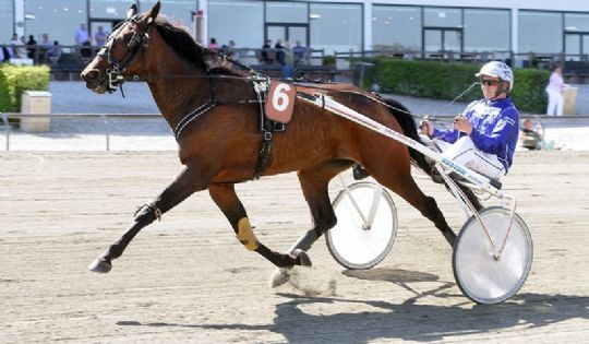 Bornholmsk opdr�t skifter hyppigt kusk i travl�b