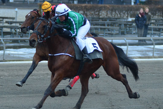 Bornholmsk sejr i hovedstaden