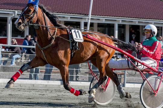 Daisy D gav Bent Dahl opdr�ttertriumf