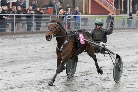 Kold og v�d eftermiddag p� travbanen