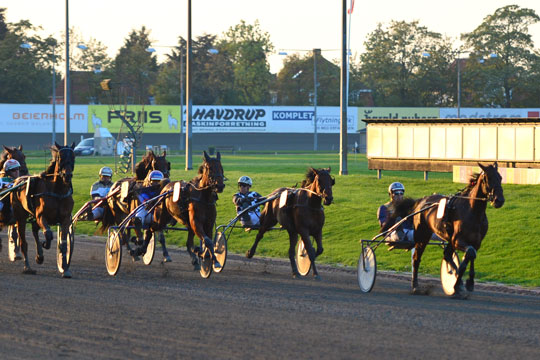 Det kan blive ny supers�ndag for Bornholms travsport