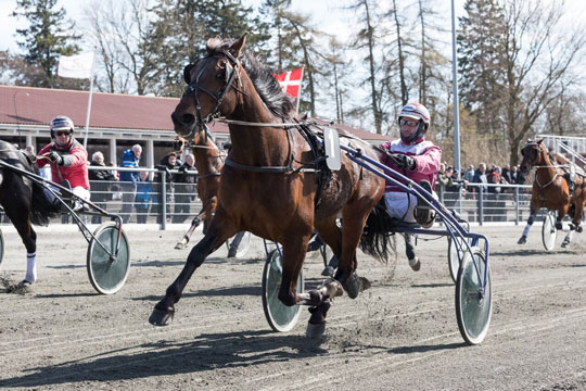 Frank Mikkelsen er kommet st�rkt tilbage