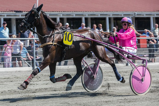 Topchance for 20.000 skr. til unghest