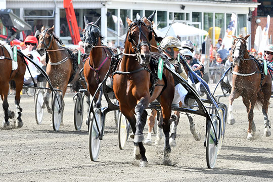 Bornholmsk hesteopdr�t i kapl�b om kvart million kroner