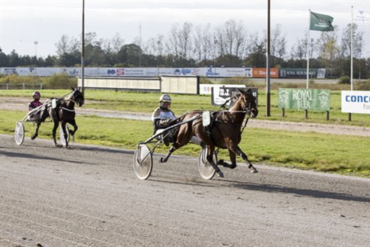 Op og ned for bornholmske hesteejere
