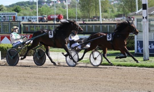 Bornholmsk topchance i Billund