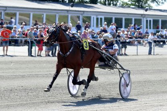 Bornholmeropdr�t i Nordens �ldste klassiske travl�b