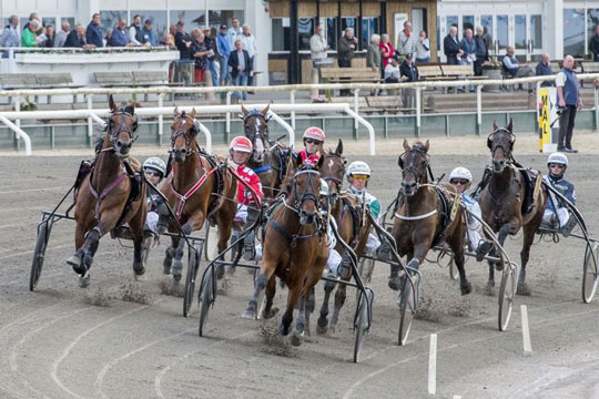 Sjettepr�mier til bornholmerhestene i Sk�ne