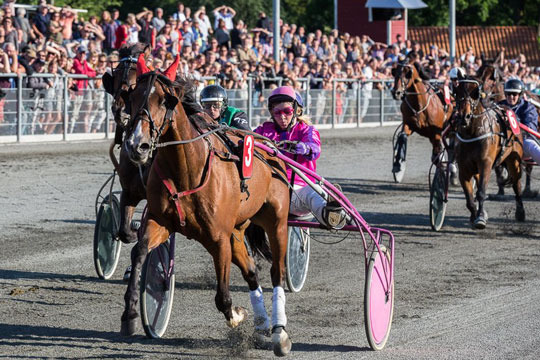 Bornholmske travheste til start p� J�gersro