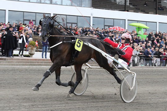 14. sejr til bornholmsk opdr�ttet travhest