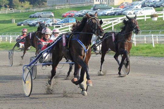 Bornholmeropdr�t i debut i Legoland-byen