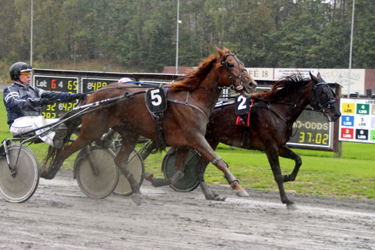 Bombay Laser bedst blandt de unge heste