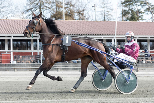 Kun en hest udg�et p� travbanen i dag
