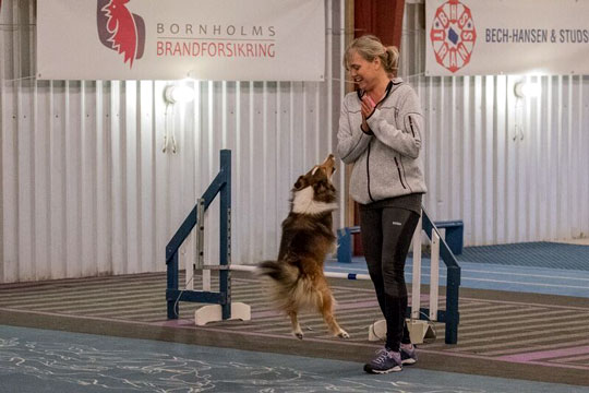 �rets sidste agilityst�vne med rekord