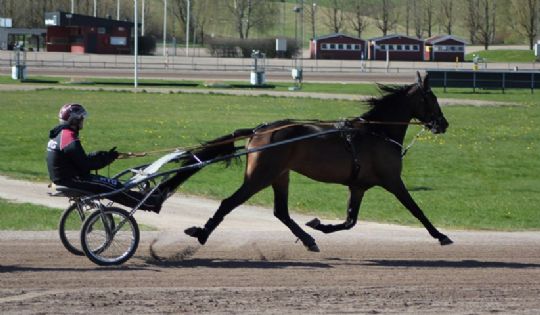 Tredjeplads til bornholmsk opdr�t i svensk havneby