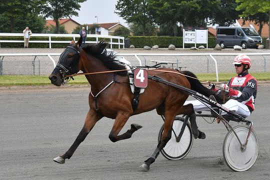 Hestesportsmand p� sidste udebanestart i �r