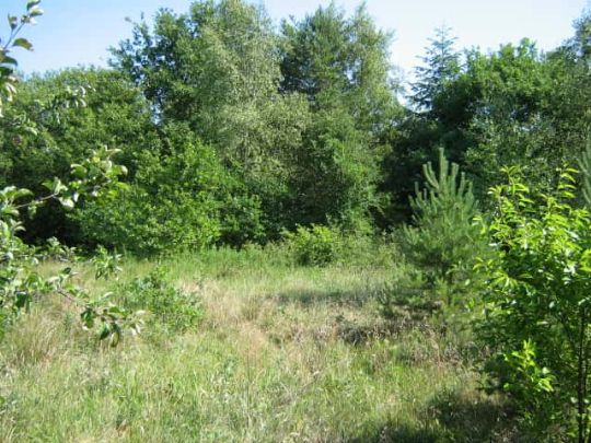 Kommunen har sv�rt ved at f� solgt grunde