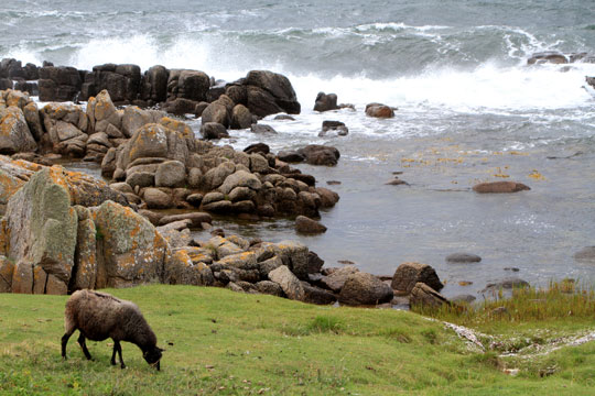 DMI varsler om vindst�d af stormstyrke